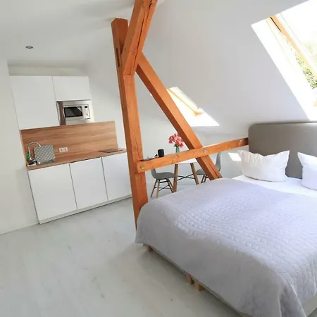 Zollikof Aparts - Sauna & Studioapartments Λειψία