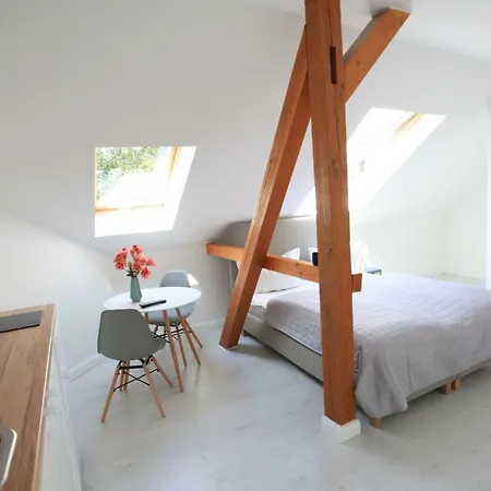 Zollikof Aparts - Sauna & Studioapartments