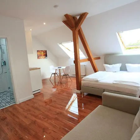 Zollikof Aparts - Sauna & Studioapartments מלון דירות 3*