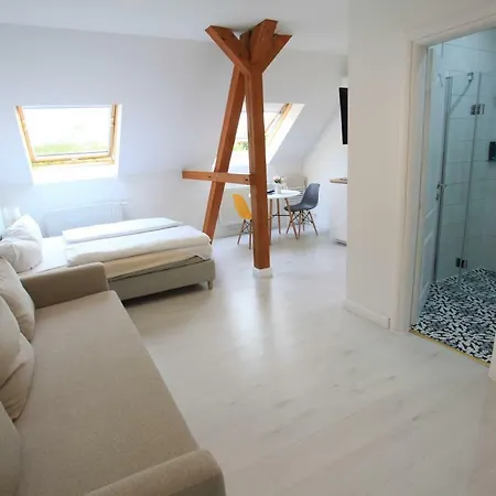 Ξενοδοχείο με διαμερίσματα Zollikof Aparts - Sauna & Studioapartments