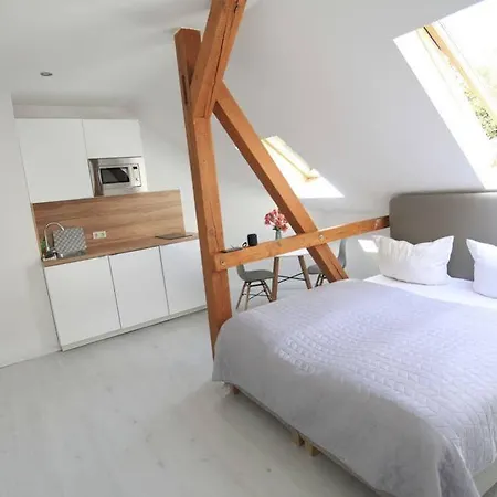 Zollikof Aparts - Sauna & Studioapartments 3* Leipzig